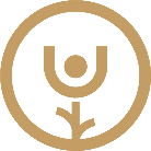 Technique Alexander | Cours de Guitare | Rixensart